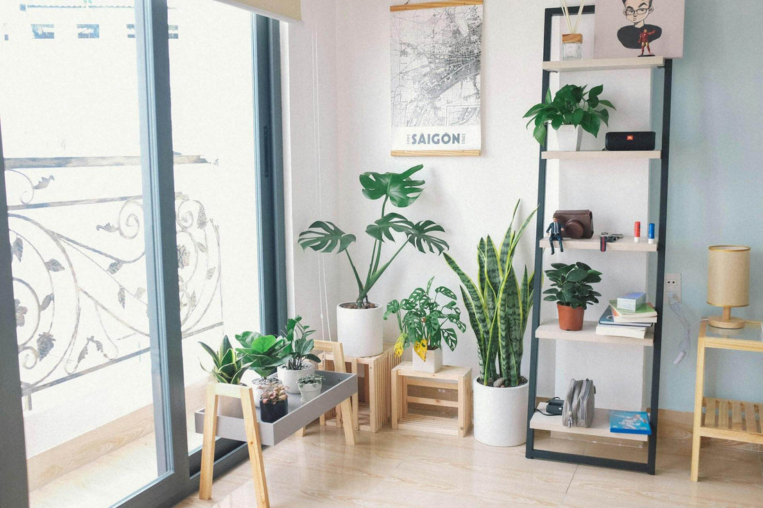 Cozy home interior with plants, modern shelving, and minimalist decor, perfect for home or office decoration.