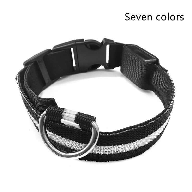 Nylon LED Dog Collar Glow Night Safety Adjustable Pet Leash