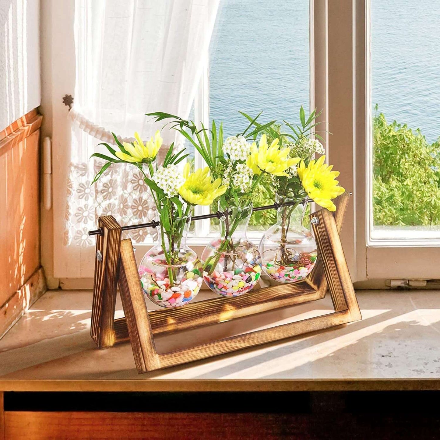 Glass Planter Bulb Terrarium with Wooden Stand