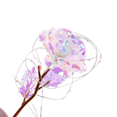 Enchanted Forever Rose Flower in Glass with LED Light