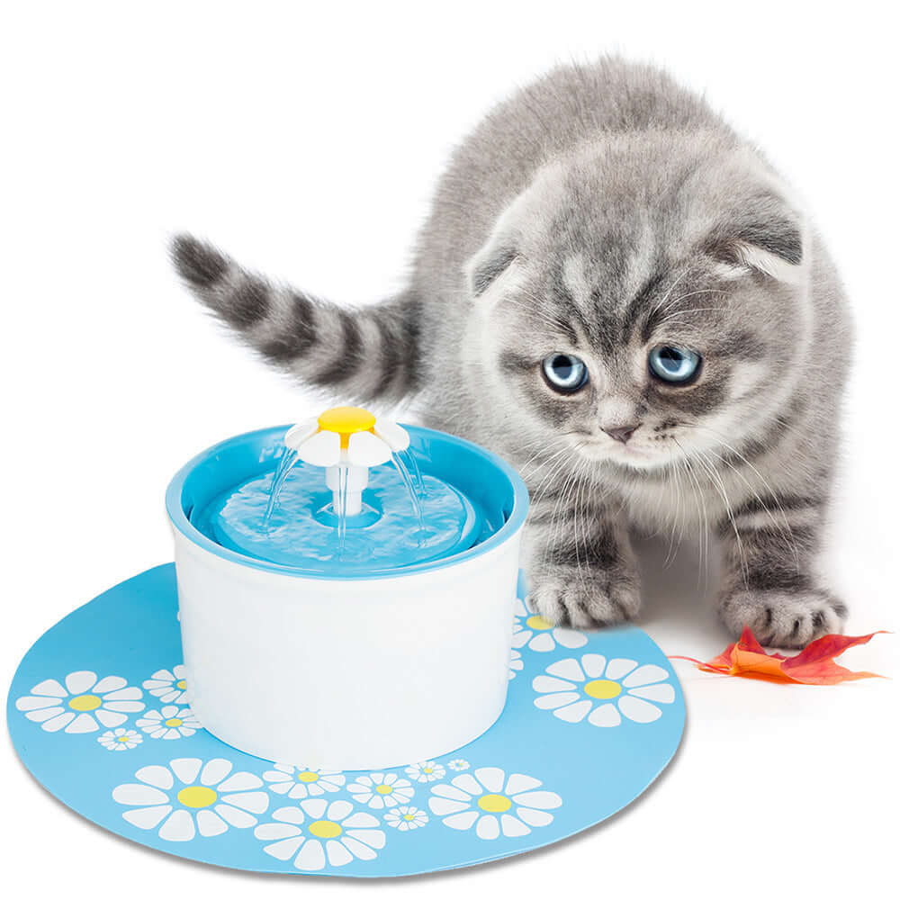  Pet Water Dispenser Automatic Water Feeder