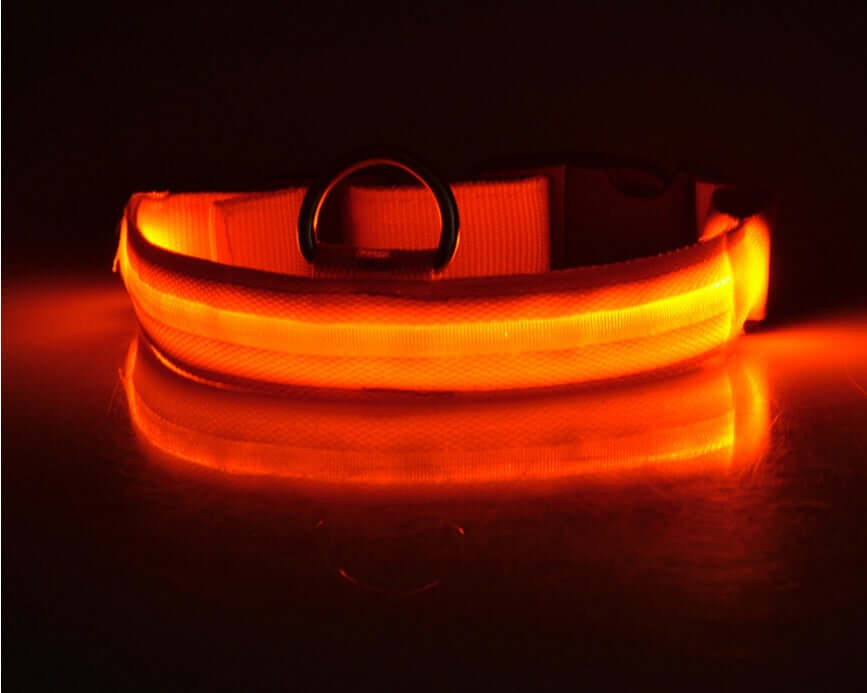 Nylon LED Dog Collar Glow Night Safety Adjustable Pet Leash