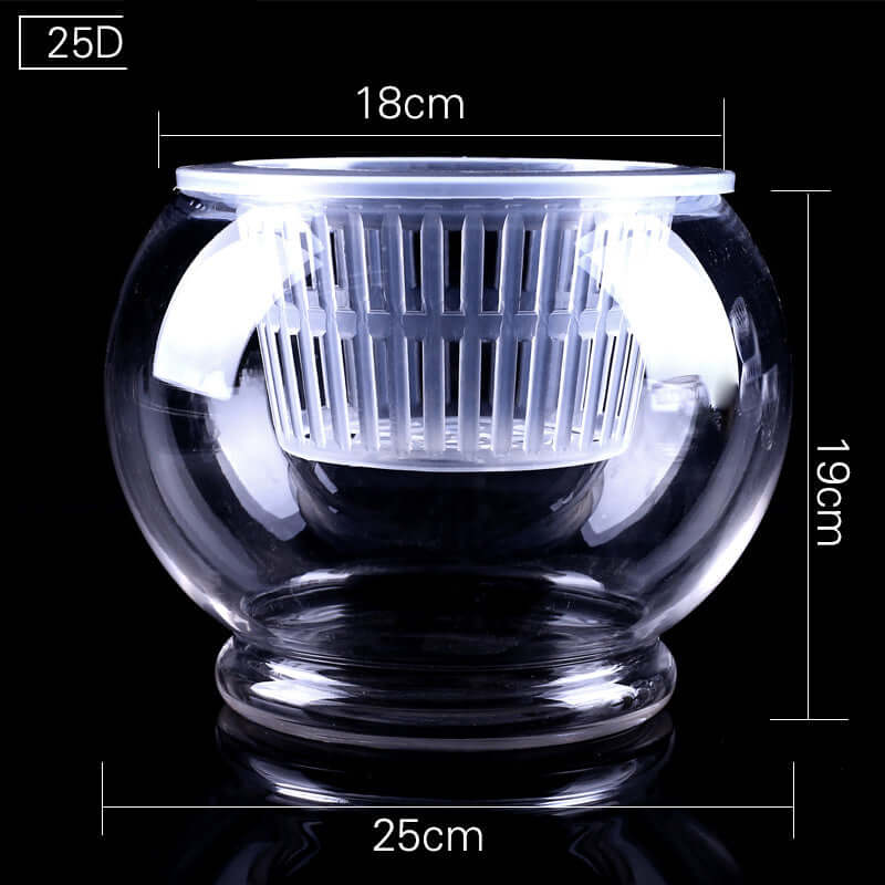 Stylish Household Plant Pots Perfect for Modern Décor Ideas