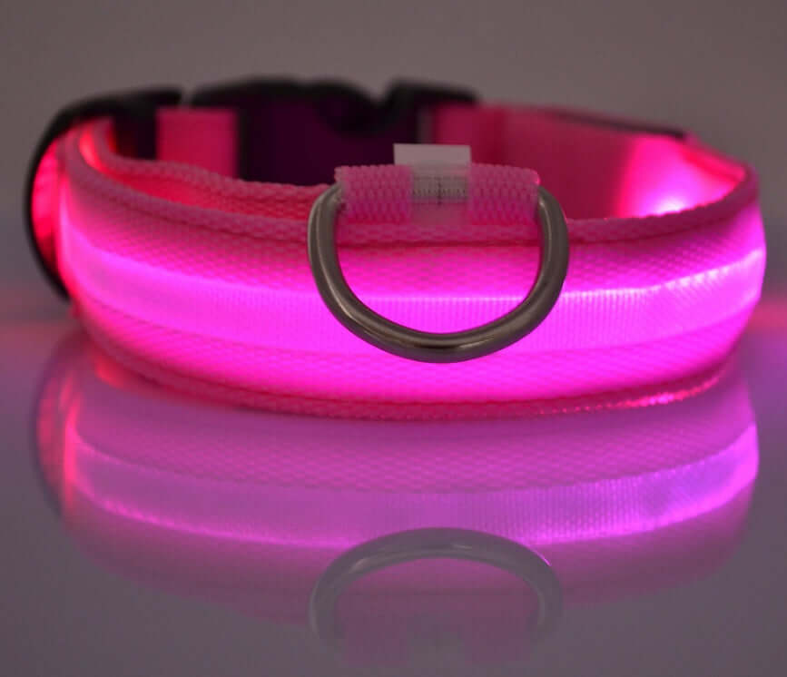 Nylon LED Dog Collar Glow Night Safety Adjustable Pet Leash