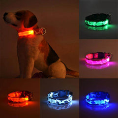 Camouflage luminous dog collar with adjustable lighting modes, ideal for nighttime walks.