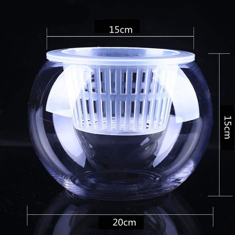 Stylish Household Plant Pots Perfect for Modern Décor Ideas