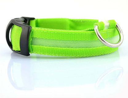 Nylon LED Dog Collar Glow Night Safety Adjustable Pet Leash