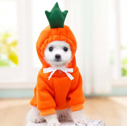 Dog Winter Clothes for Small Dogs Cute Fruit Hoodie