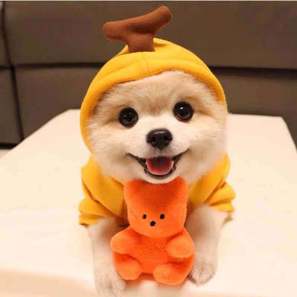 Dog Winter Clothes for Small Dogs Cute Fruit Hoodie