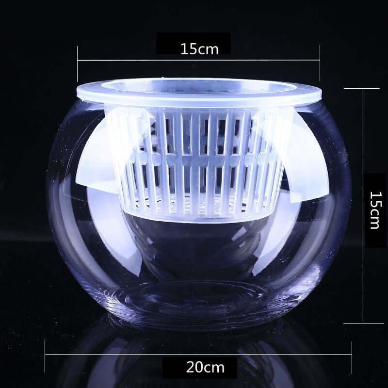 Stylish Household Plant Pots Perfect for Modern Décor Ideas