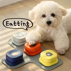 Cute white dog using colorful pet communication buttons on a mat, capturing playful interaction in a cozy setting.