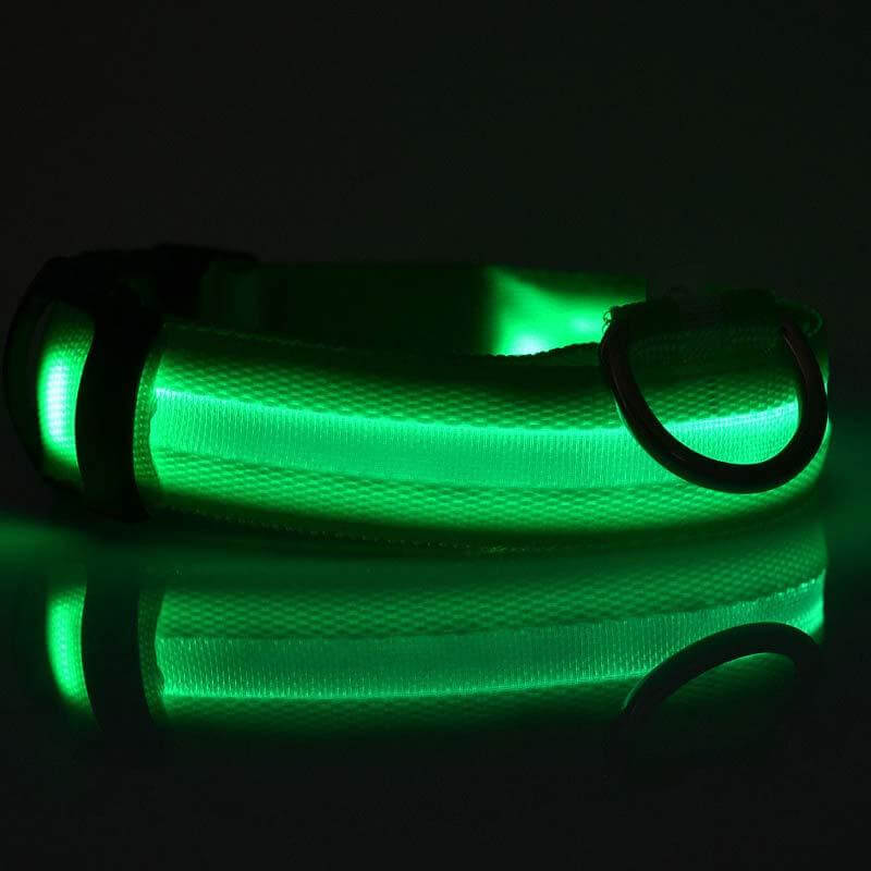 Nylon LED Dog Collar Glow Night Safety Adjustable Pet Leash