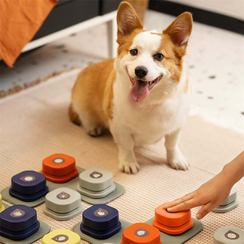 Happy dog using colorful communication buttons on the floor, showcasing innovative pet toys for interactive learning.