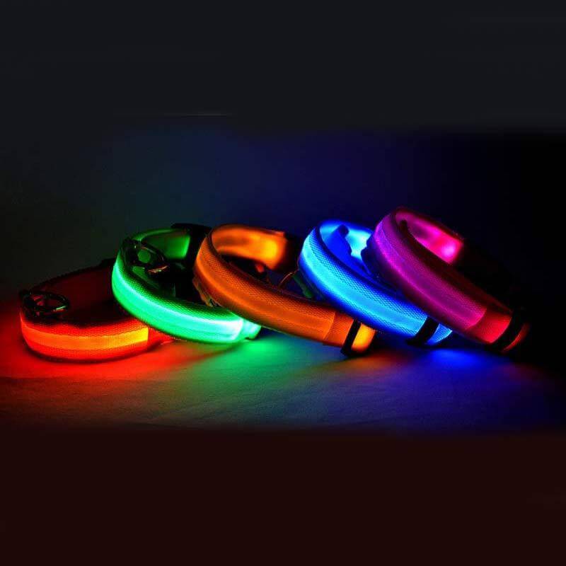 Nylon LED Dog Collar Glow Night Safety Adjustable Pet Leash