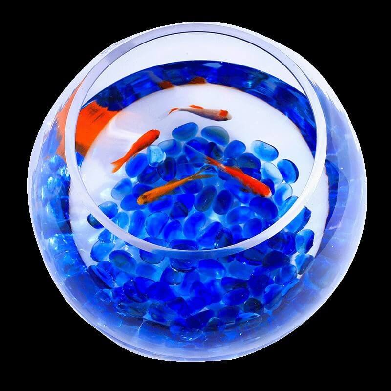 Stylish Household Plant Pots Perfect for Modern Décor Ideas