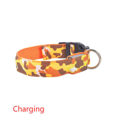 Camouflage luminous dog collar with adjustable lighting modes, ideal for night walks.