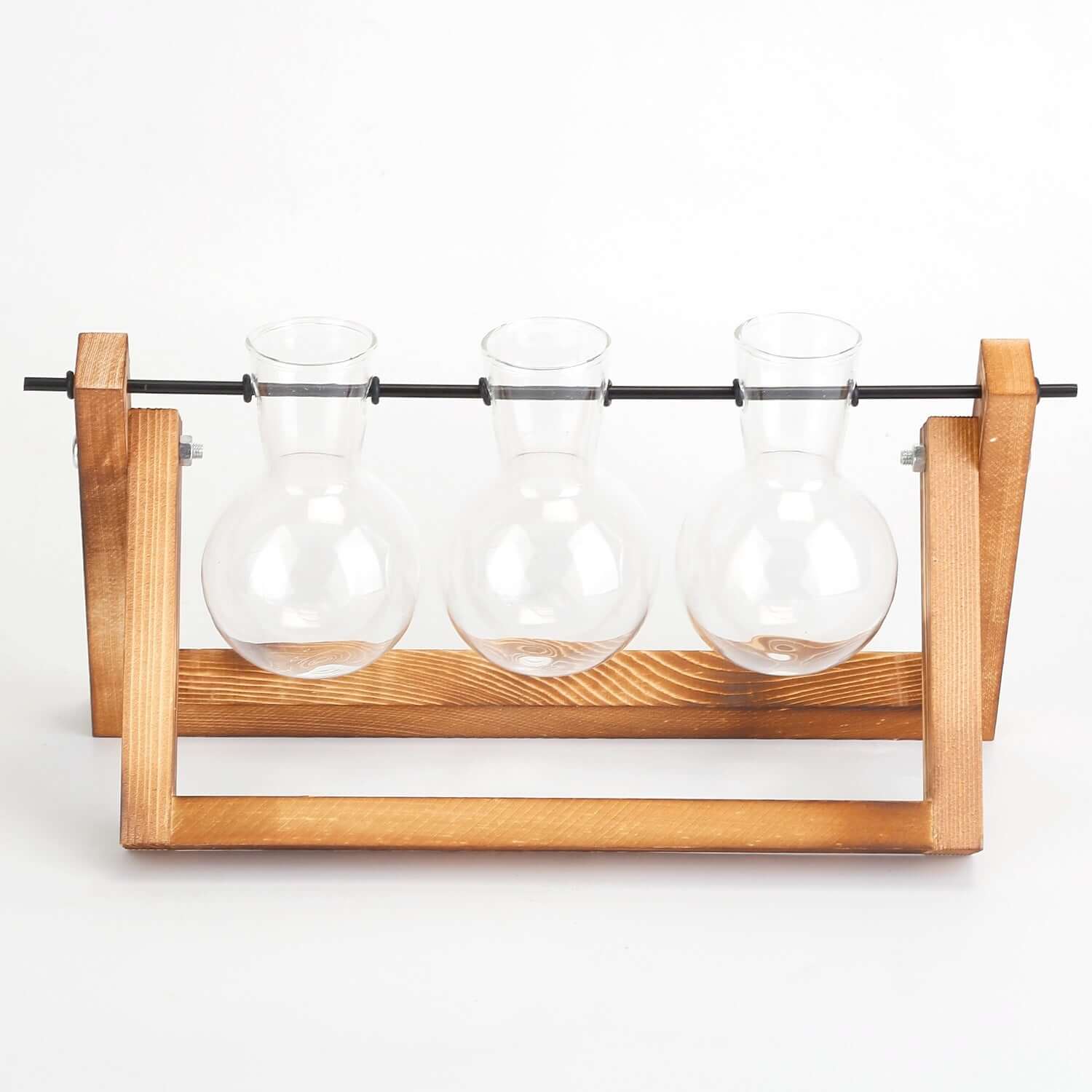 Glass Planter Bulb Terrarium with Wooden Stand