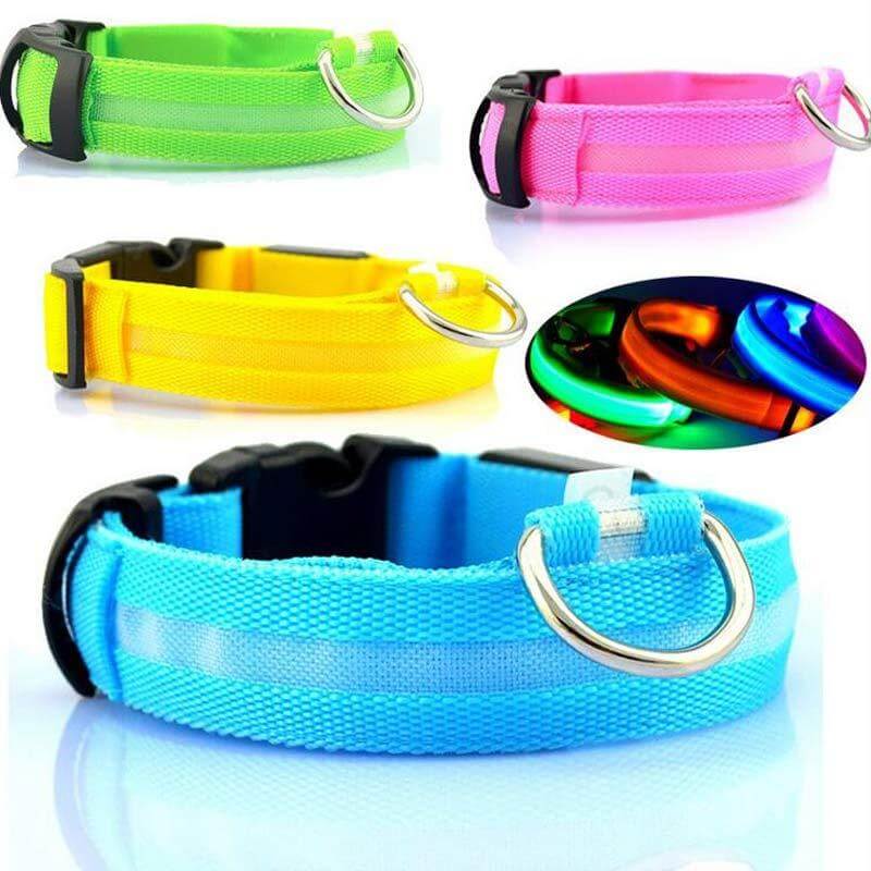 Nylon LED Dog Collar Glow Night Safety Adjustable Pet Leash