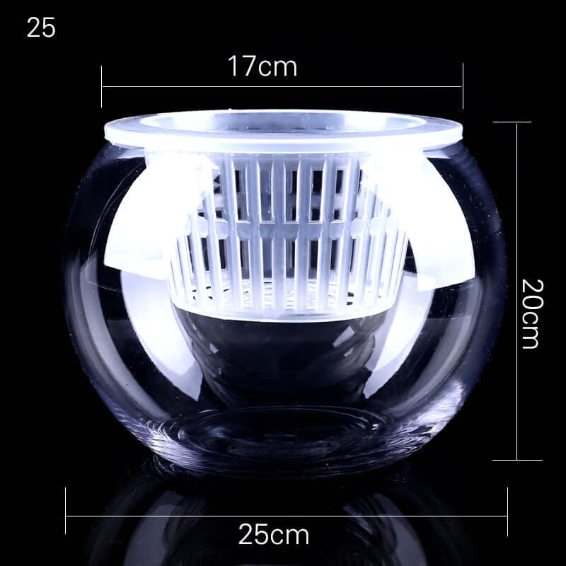 Stylish Household Plant Pots Perfect for Modern Décor Ideas