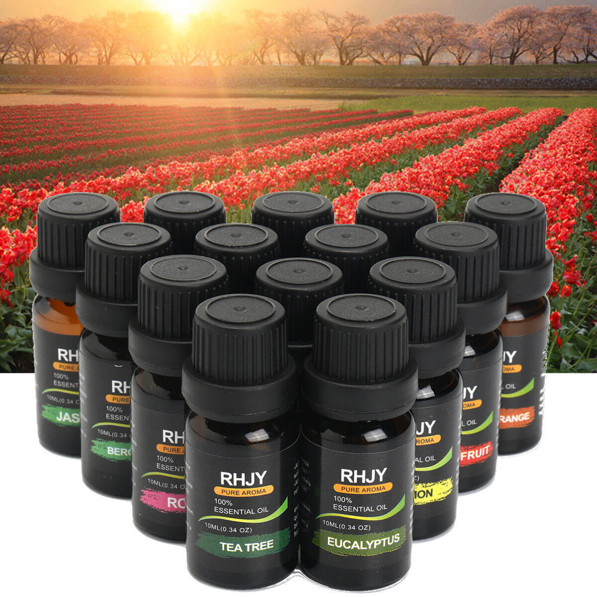 Diffusers Essential Oil Set 14-Bottle Aromatherapy