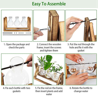 Glass Planter Bulb Terrarium with Wooden Stand