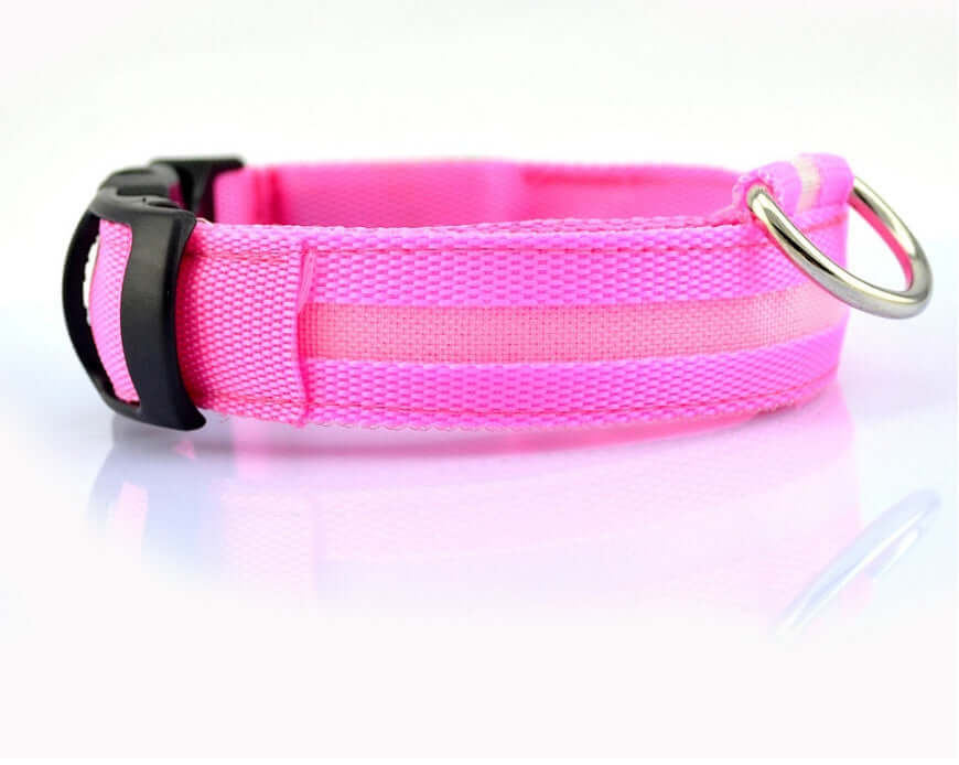 Nylon LED Dog Collar Glow Night Safety Adjustable Pet Leash