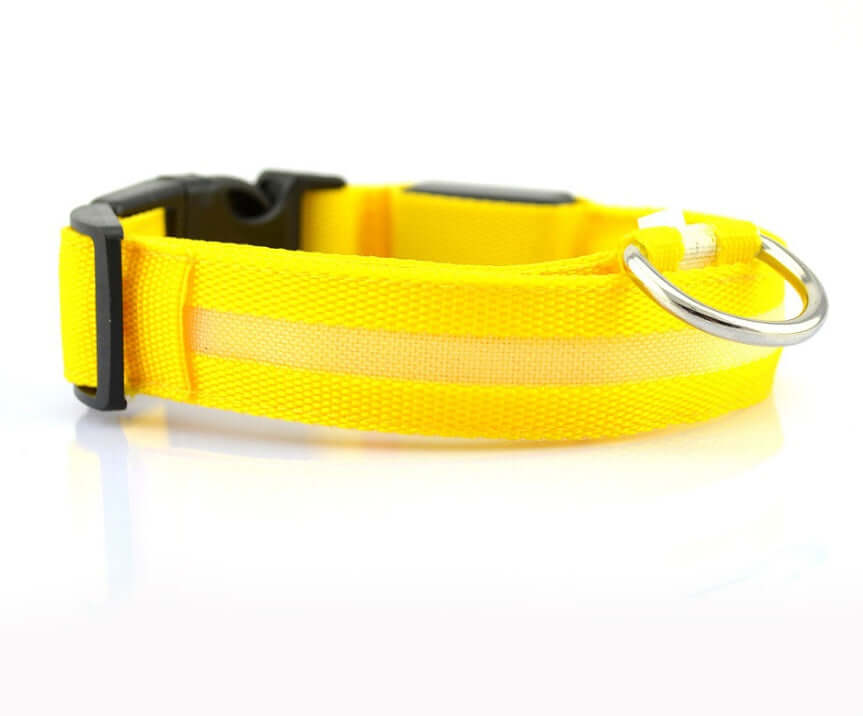 Nylon LED Dog Collar Glow Night Safety Adjustable Pet Leash