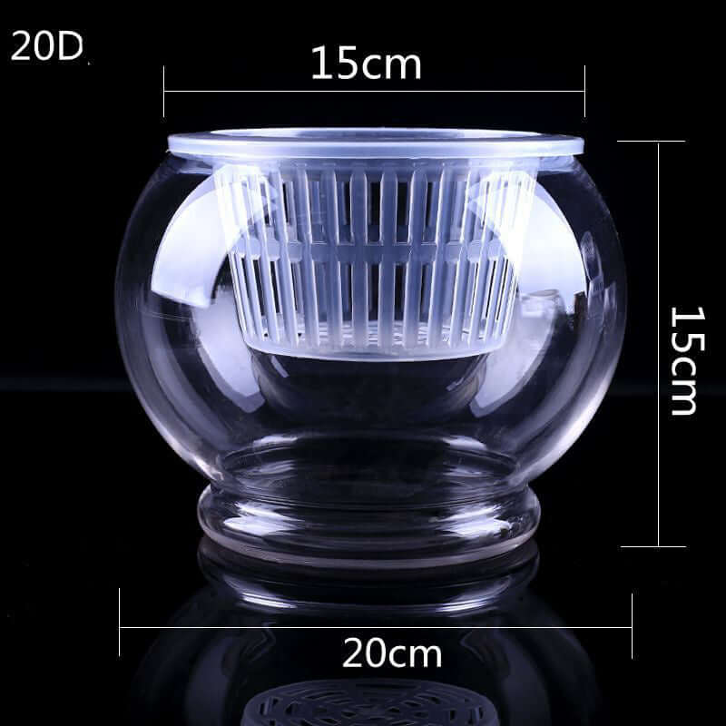 Stylish Household Plant Pots Perfect for Modern Décor Ideas