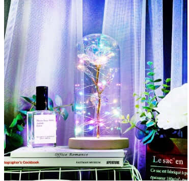 Christmas Decoration Rose Flower in Glass LED Light