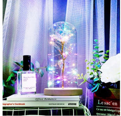 Enchanted Forever Rose Flower in Glass with LED Light