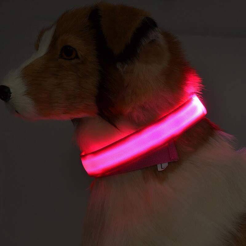 Nylon LED Dog Collar Glow Night Safety Adjustable Pet Leash