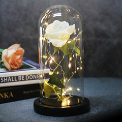 Enchanted Forever Rose Flower in Glass with LED Light