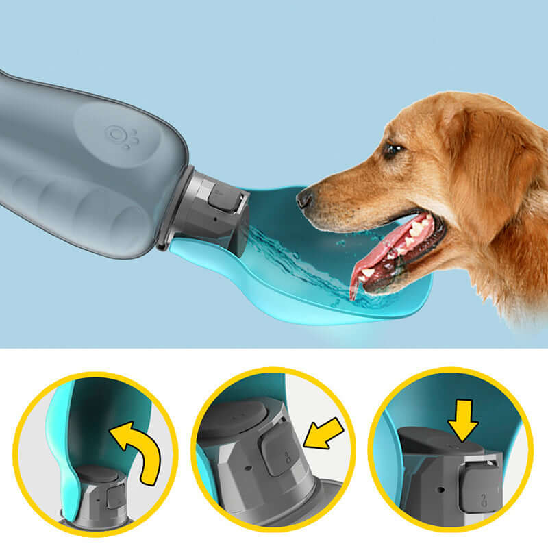 Golden Retriever drinking from a portable, foldable dog water bottle with an integrated bowl design.