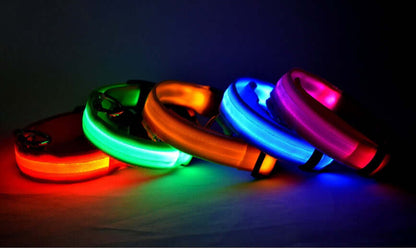 Nylon LED Dog Collar Glow Night Safety Adjustable Pet Leash