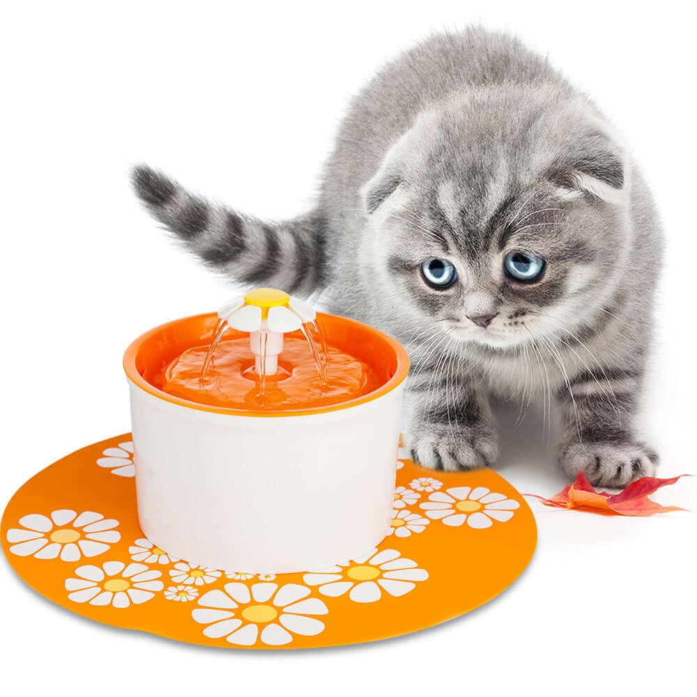  Pet Water Dispenser Automatic Water Feeder