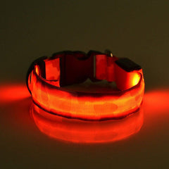 Luminous camouflage dog collar in red light, made of nylon and plastic, features adjustable lighting modes.
