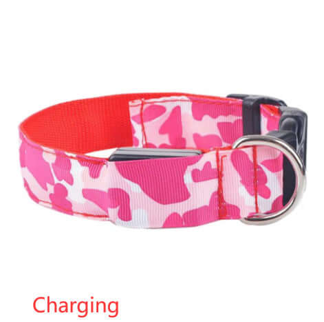 Camouflage luminous dog collar in pink and white, features adjustable buckle and charging indicator.