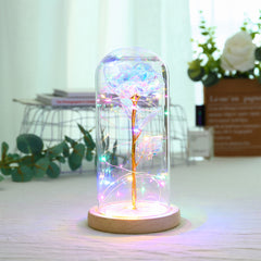 Enchanted Forever Rose Flower in Glass with LED Light