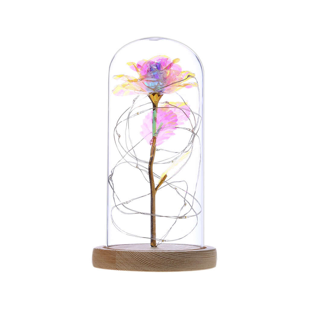  Christmas Decoration Rose Flower in Glass LED Light