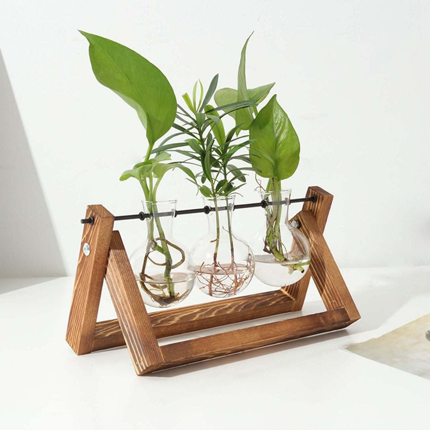 Glass Planter Bulb Terrarium with Wooden Stand