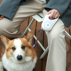 Retractable dog leash with comfortable grip for walking pets outdoors