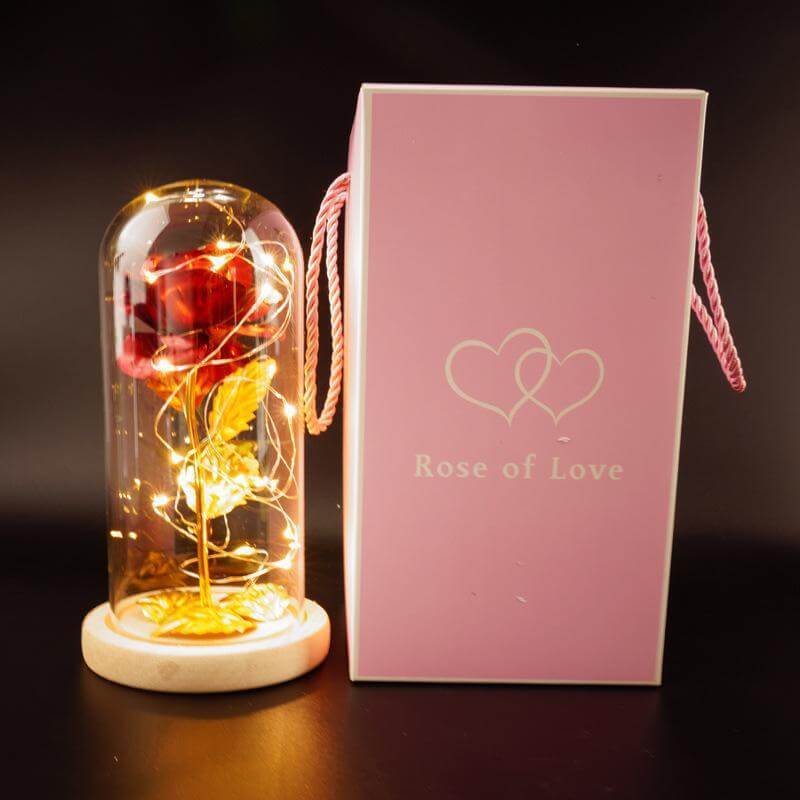  Christmas Decoration Rose Flower in Glass LED Light