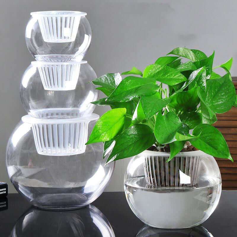 Stylish Household Plant Pots Perfect for Modern Décor Ideas