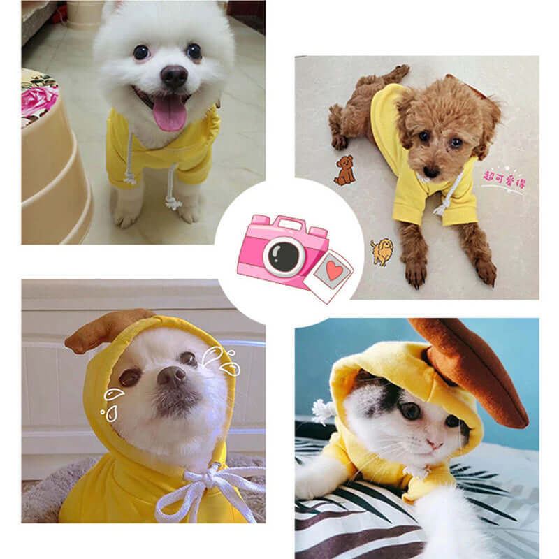 Dog Winter Clothes for Small Dogs Cute Fruit Hoodie