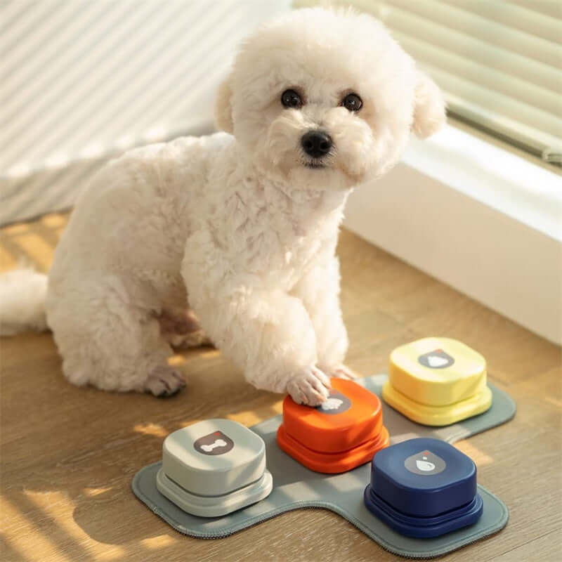 Cute white dog using colorful pet communication buttons toy to interact and engage.