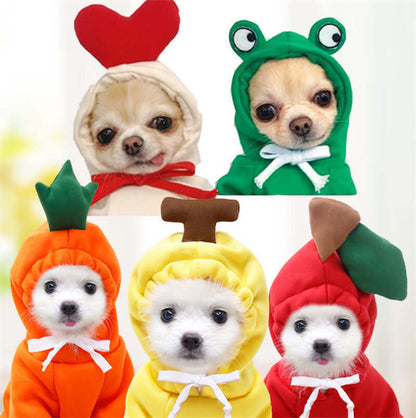 Dog Winter Clothes for Small Dogs Cute Fruit Hoodie