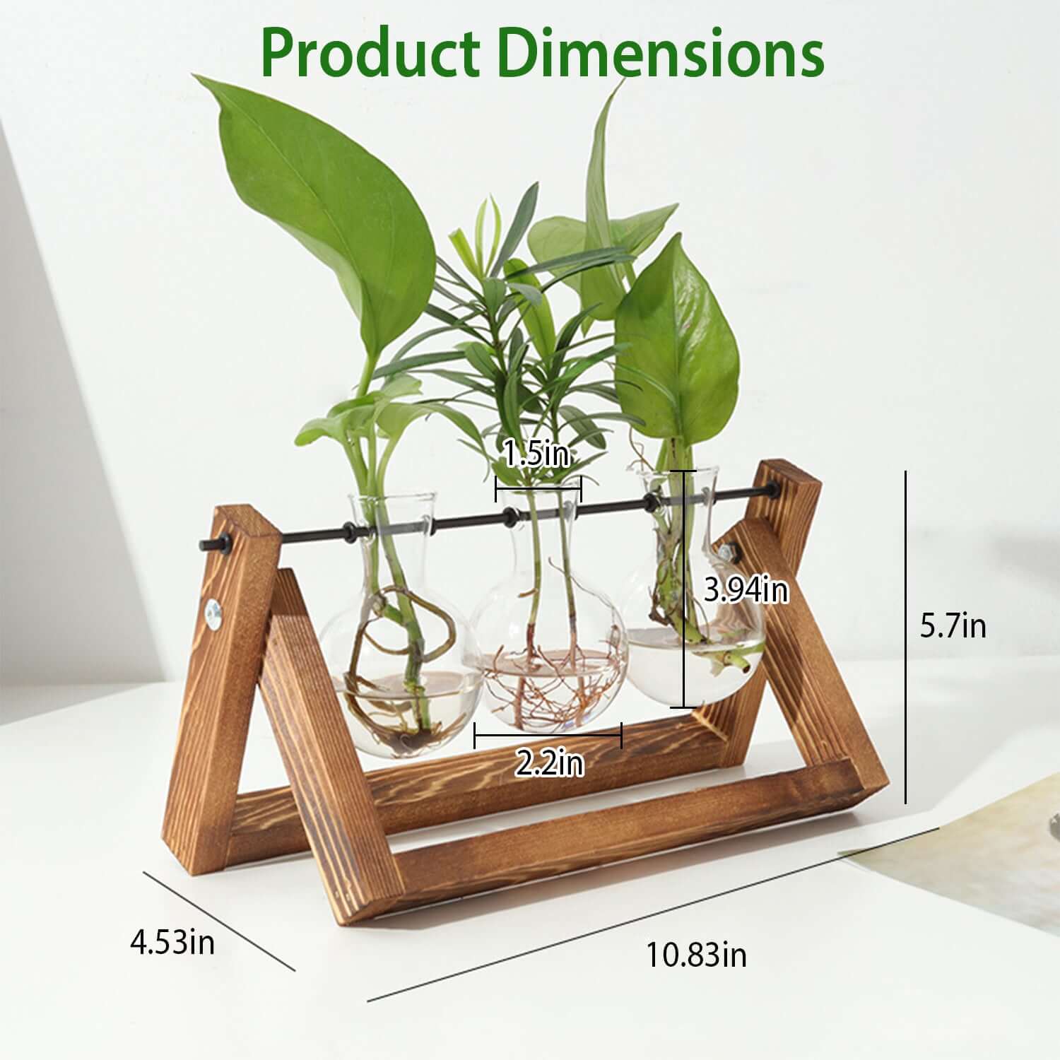 Glass Planter Bulb Terrarium with Wooden Stand