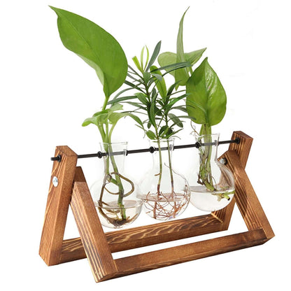 Glass Planter Bulb Terrarium with Wooden Stand