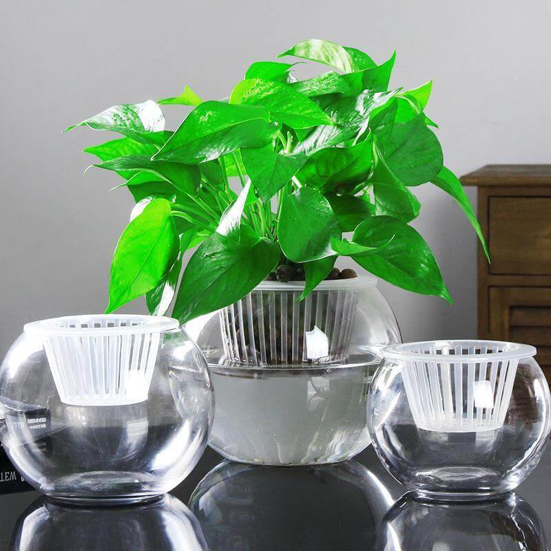 Stylish Household Plant Pots Perfect for Modern Indoor Décor Ideas