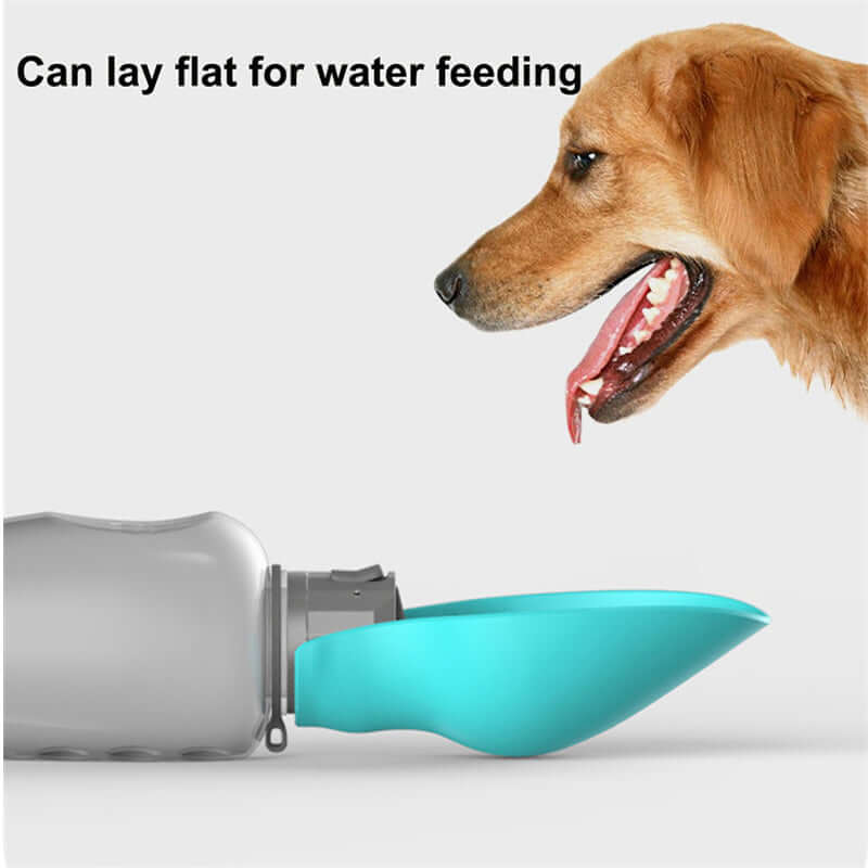 Portable dog water bottle with bowl, designed for easy water feeding for pets outdoors.